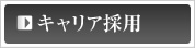 �L�����A�̗p